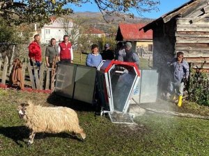 Ordu’da Mobil Koyun Yıkama Banyoları Hizmete Girdi