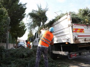 Nilüfer’de Bahçe Ve Budama Atıkları Kompost Oluyor
