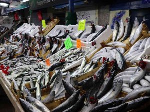 Karadeniz Hamsisi Tezgahlarda Yerini Almayı Bekliyor