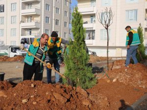 Parklarda Kışa Hazırlık Çalışmaları Yapılıyor
