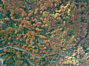 Kocaeli’de Eşsiz Sonbahar Güzelliği