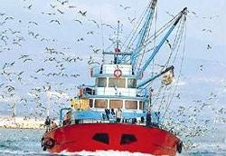 Karadeniz'de Balık Sezonu Sona Erdi