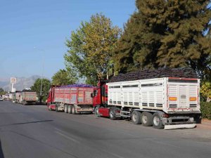 Büyükşehir, Kalitesiz Kömüre Geçit Vermiyor