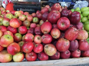 Burhaniye’de Organik Ürünler Çiftçileri Sevindirdi