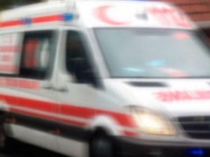 Eşinin Kestiği Dal Üzerine Düştü, Hayatını Kaybetti