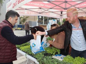 Vatandaşlara 178 Bin 200 Sebze Fidesi Dağıtıldı