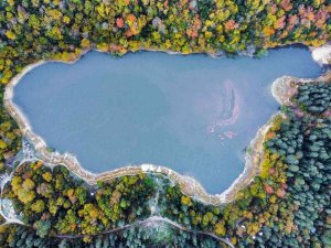 Sakarya’da Sonbahar Güzelliği