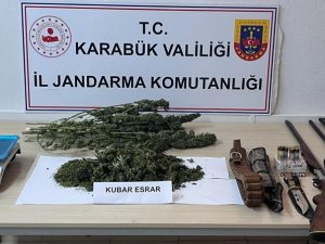 Jandarmadan Uyuşturucu Operasyonu