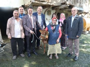 Atakum’da Çiftçinin Yüzü Gülüyor