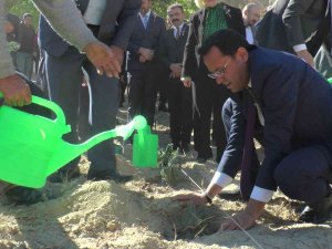 Nevşehir’de 66 Bin 660 Lavanta Toprakla Buluştu