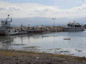 Van Gölü İçin Korkutan Açıklama