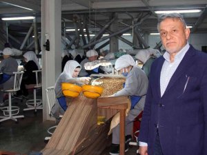 Avrupa’daki Enerji Krizi Fındık İhracatını Da Olumsuz Etkiledi