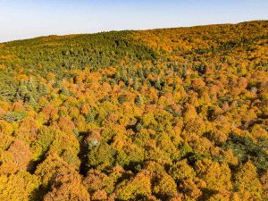 Kazdağları’nın Eşsiz Sonbahar Güzellikleri Dron İle Görüntülendi
