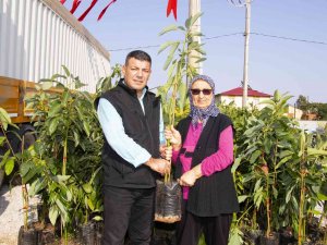 Mersin’de Avokado Fidanı Dağıtımının İkinci Etabı Tamamlandı