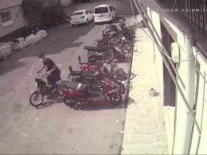 Polise Yakalanmamak İçin Bahçede Yaşamış