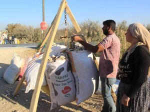 Kalıntı Pamuklar Ekonomiye Kazandırılıyor
