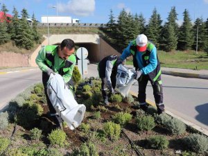 Körfez’de Atıklar Yeşile Dönüşüyor