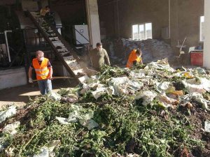 Sebze Ve Meyve Atıklarından Yıllık 400 Ton Organik Gübre Üretiliyor