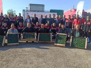 Çeltikten Sonra Boş Kalan Tarım Alanlarında Brokoli Yetiştirilecek