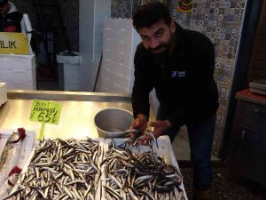 Karadeniz Hamsisi Tezgâhlarda Yerini Aldı