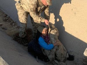 Kaybolan Yaşlı Kadını Jandarma Buldu