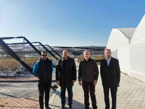 Yüzyılın Sağlık Meyvesi Maviyemiş Sermayecik Köyünde Üretilecek