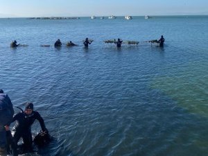 Denizden Çıkarılan Atıklardan Bulaşık-çamaşır Makinesi Düğmesi