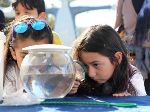 Vatandaşlara Vektörle Mücadele Bilgilendirmesi