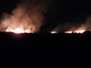 Milleyha Kuş Cenneti’nde Yangın Çıktı