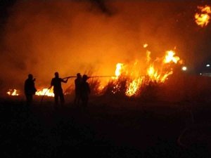 Milleyha Sulak Alanında Çıkan Yangın Kontrol Altında