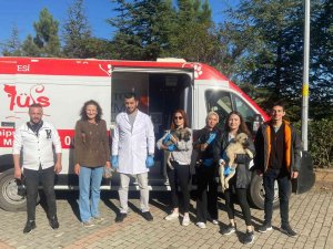 Sokak Sokak Gezen Patibüs, Hayvanların Yardımına Koşuyor