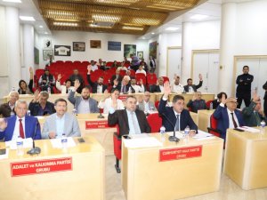 Burhaniye’de Zeytin Katliamının Önüne Geçilecek