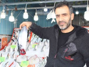 Balıkta Bereket Yılı