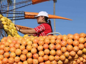 Mersin, Narenciye Festivali’ne Hazırlanıyor