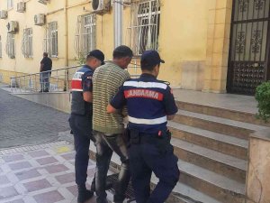 Hapis Cezası Bulunan Şahıs Germencik’te Yakalandı