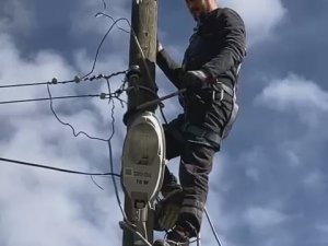 Elektrik Direğinde Mahsur Kalan Kedinin İmdadına Elektrik Dağıtım Şirketi Görevlileri Yetişti