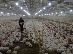 Temizlikçilikten Patronluğa Uzanan Başarı Hikayesi