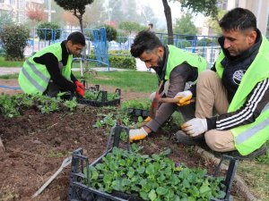 Batman’da Cadde Ve Refüjler Çiçeklerle Süslendi