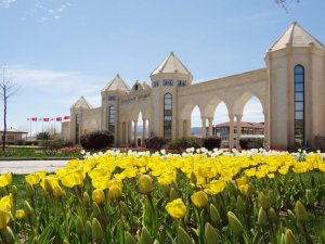 Dpü’den 12 Akademisyen En Çok Atıf Alan Akademisyenler Listesinde Yer Aldı