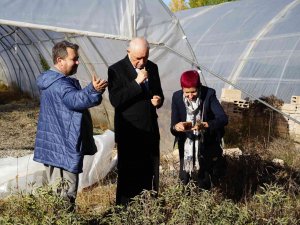 Paraguay Büyükelçisi’nden Kastamonu’da Tıbbi Aromatik Bitkiler Üzerinde İnceleme