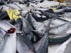 Tavuk Etinden Bile Ucuz, Fiyatını Duyan Soluğu Balıkçılarda Aldı