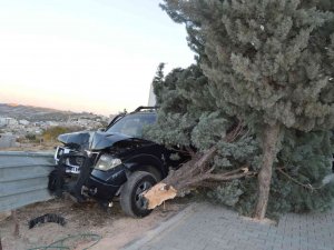 Kontrolden Çıkan Kamyonet Ağaca Çarparak Durabildi