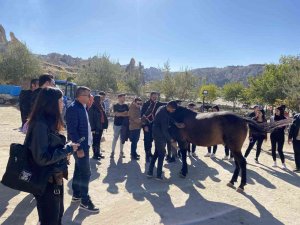 Nevü Tarım Ve Hayvancılık Bölümü Öğrencileri At Çiftliği Gezisine Katıldı