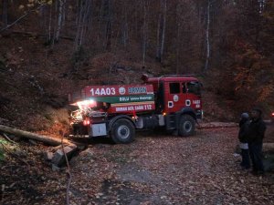Bolu’da Orman Yangınında 1,5 Hektarlık Alan Zarar Gördü