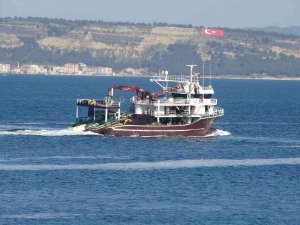 Uzmanlarından Flaş Balık Uyarısı