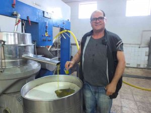 Zeytinyağını Renkli Cam Şişelerde Saklayın