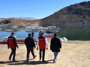 Kahramanmaraş, Alabalık Üretiminde Türkiye’de İkinci Sıraya Yükselecek