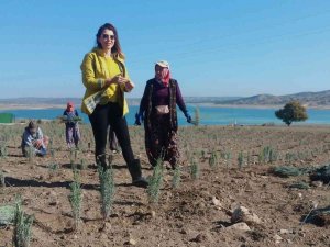 Merhum Babasının Hayalini Gerçekleştirdi