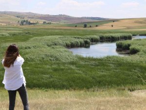 Mahkeme Kararını Verdi, Kaz Gölü Kurtuldu