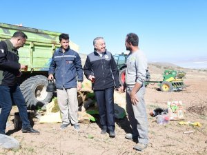 Sertifikalı Tohumlar Toprakla Buluştu